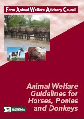 Cover Animal Welfare Guidelines for Horses, Ponies and Donkeys