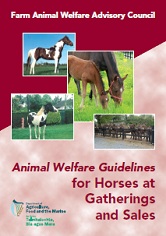 Cover Animal Welfare Guidelines for Horses at Gatherings and Sales